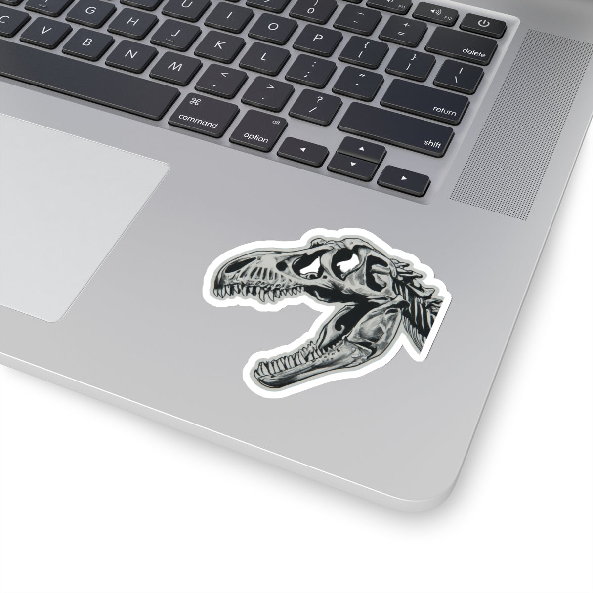 Tyrannosaurus rex Skull - Dinosaur Sticker