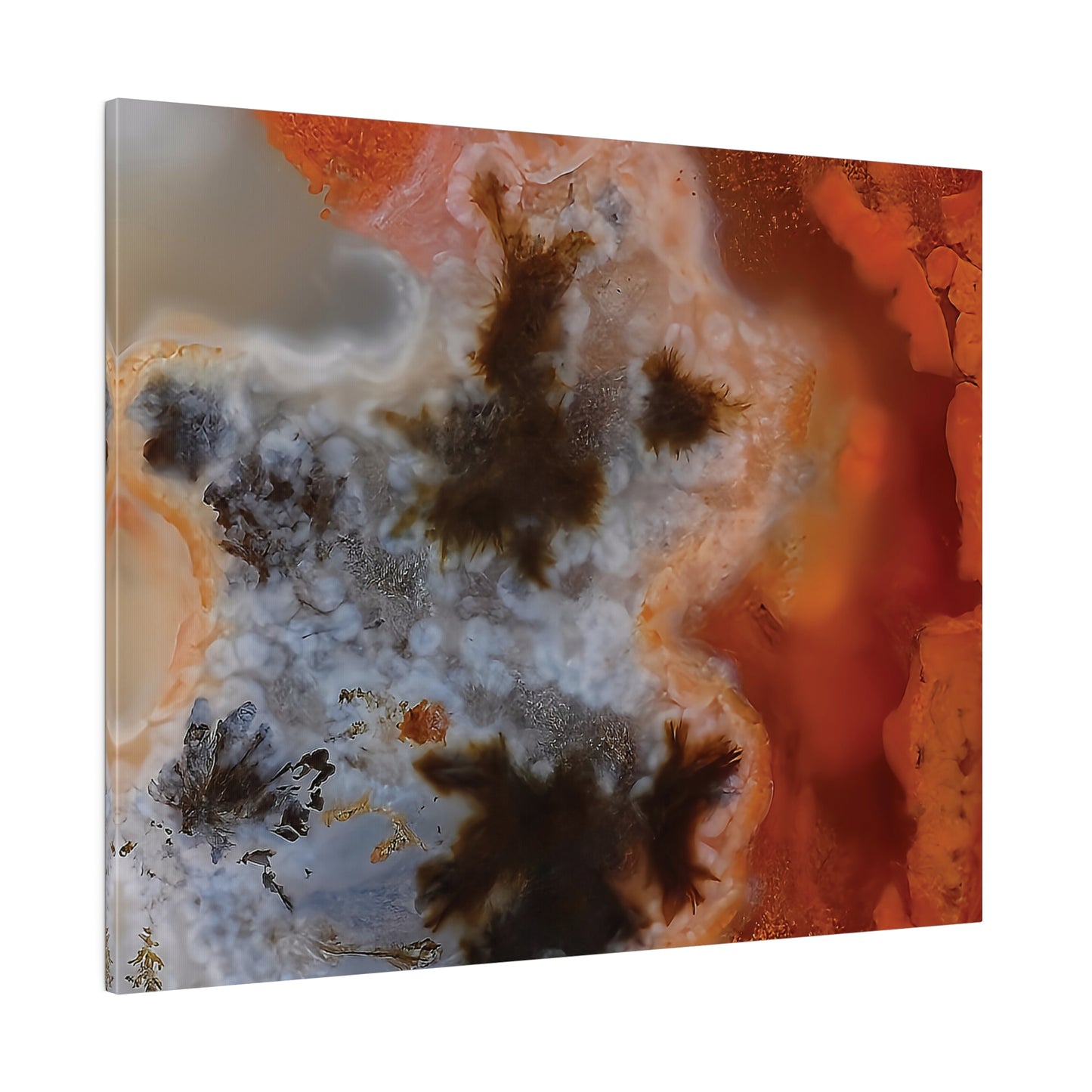 Texas Plume Agate  Canvas Print Wall Art Décor