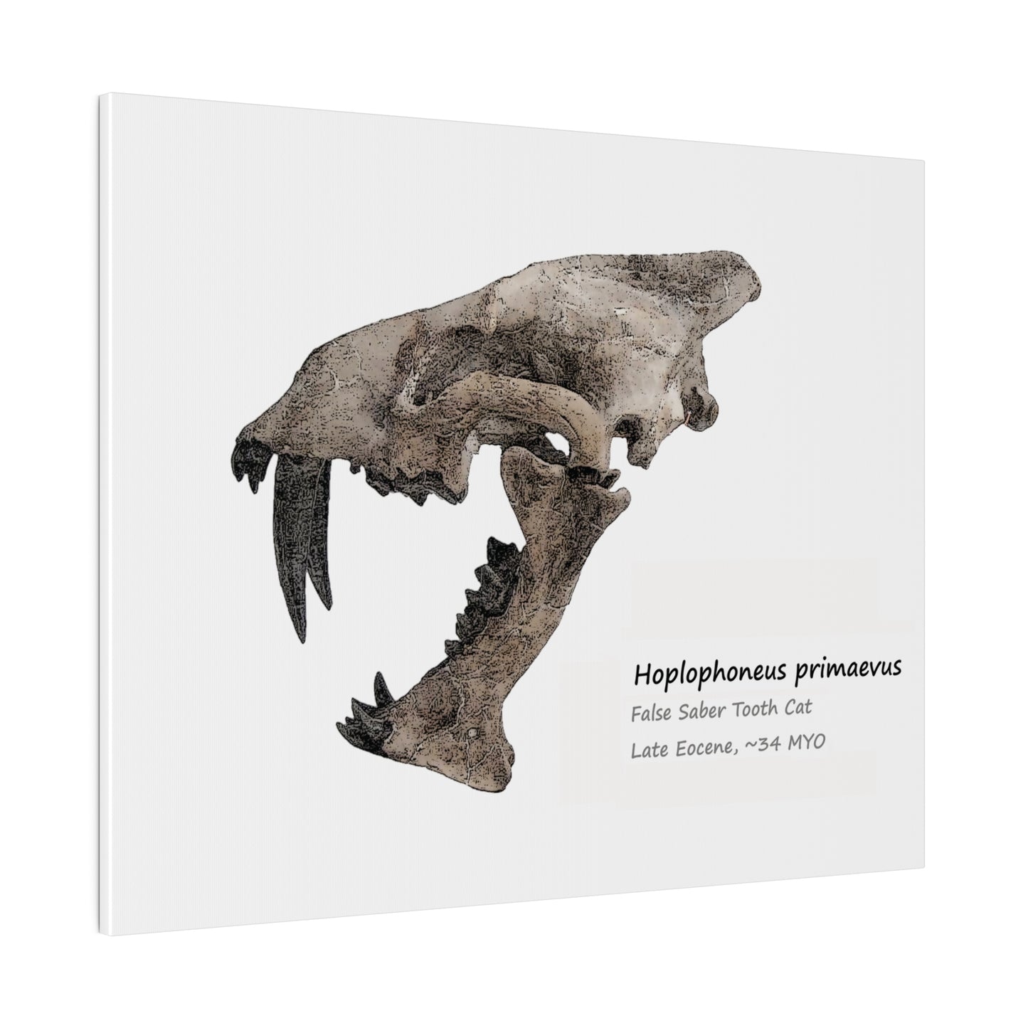 Hoplophoneus Primaevus Saber Cat  Canvas Print Wall Art Décor