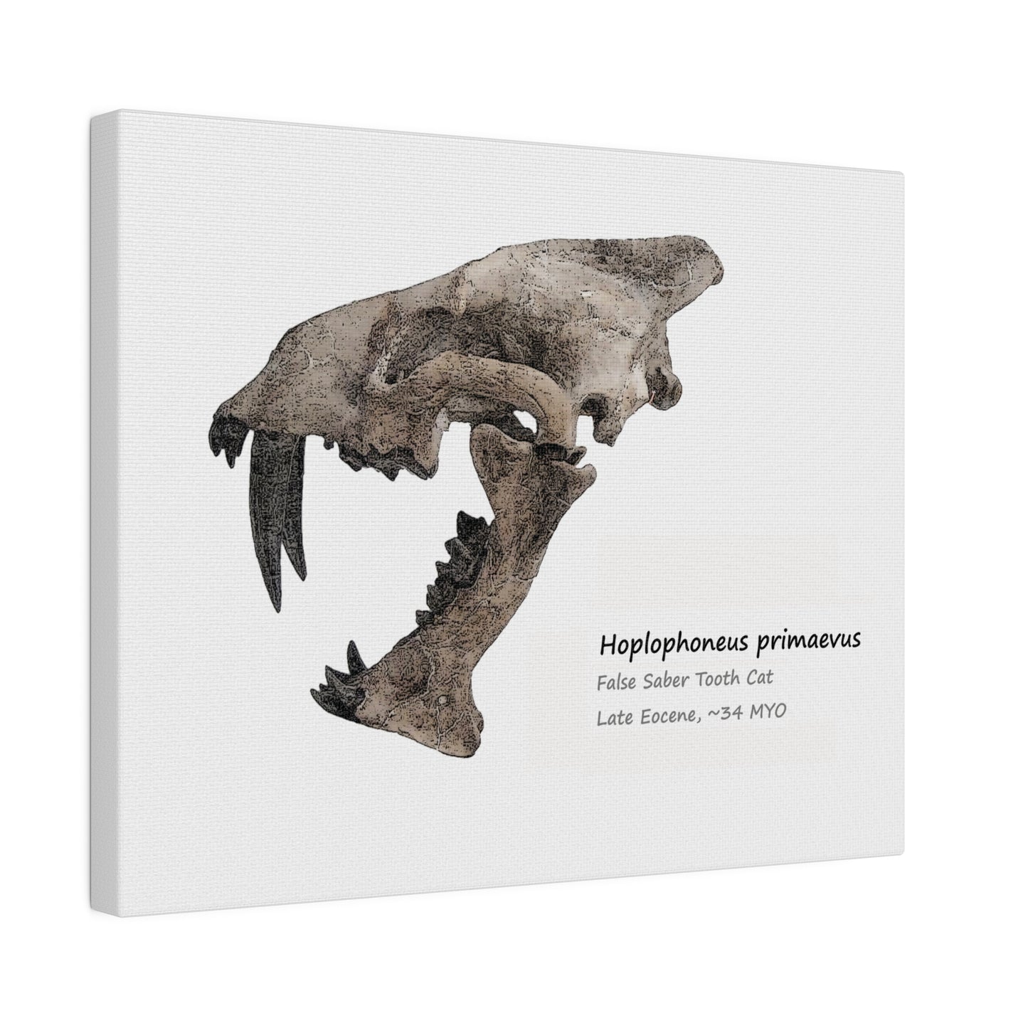 Hoplophoneus Primaevus Saber Cat  Canvas Print Wall Art Décor