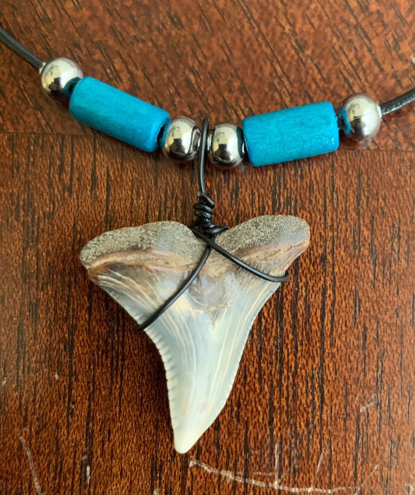 Real fossil Hemipristis serra, snaggle shark tooth necklace on black cord, shark tooth pendant