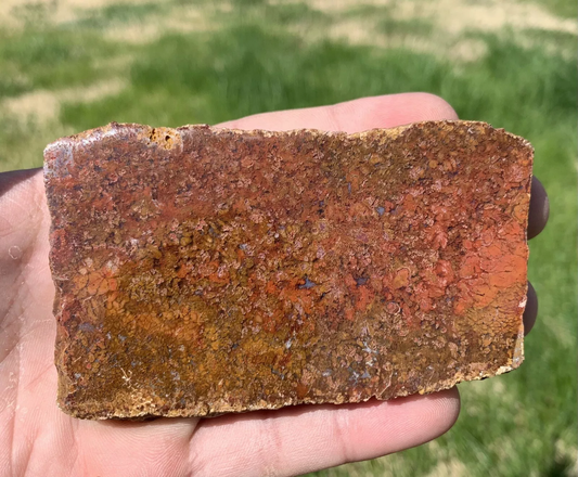 Polished Red Plume Agate from Indonesia, Slab, Slice