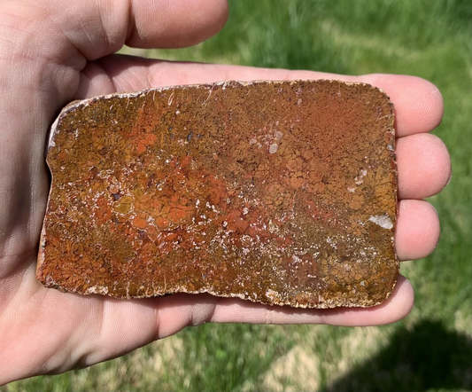 Polished Red Plume Agate from Indonesia, Slab, Slice