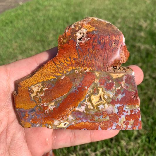 Polished  Red Plume Agate  slab from  Indonesia