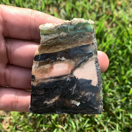 Polished Agatized Fossil Wood from Indonesia