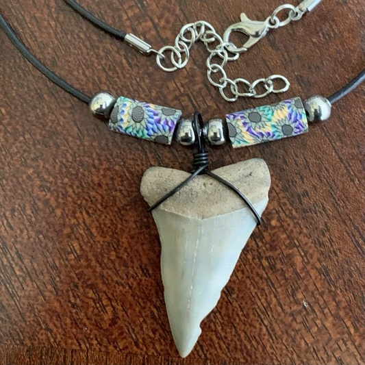 Real shark tooth necklace made from a fossil lesser white shark tooth pendant wrapped with black wire, hung on a black cotton cord with colorful beads