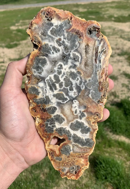 Red Marcasite with Druzy from Indonesia, Slab, Slice