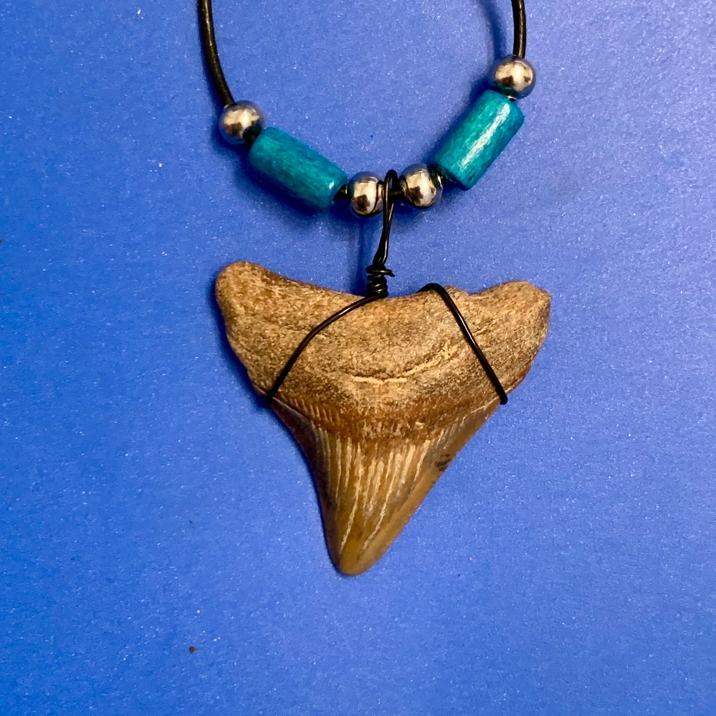 Real shark tooth necklace made from a fossil megalodon shark tooth pendant wrapped with black wire, hung on a black cotton cord with colorful beads