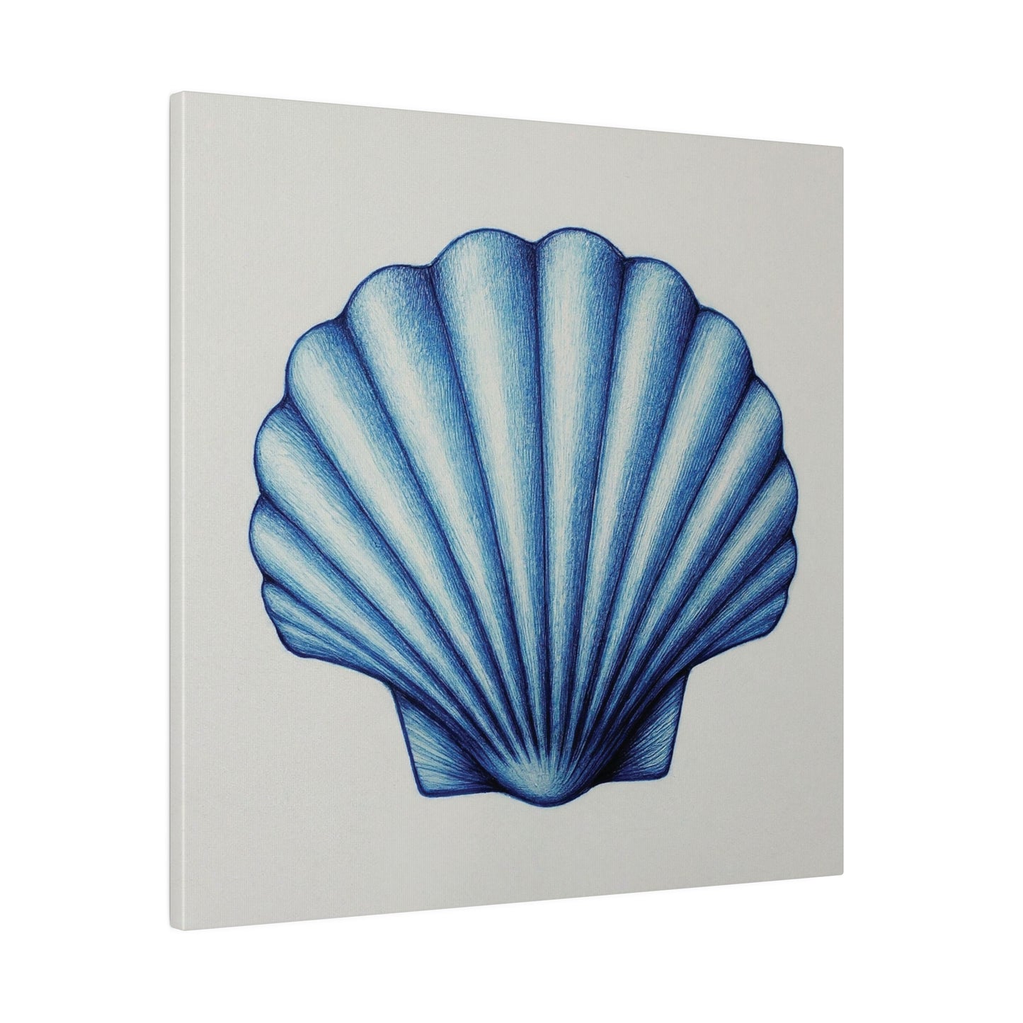 Pectin Seashell Canvas Print Wall Art Décor, Beach Décor