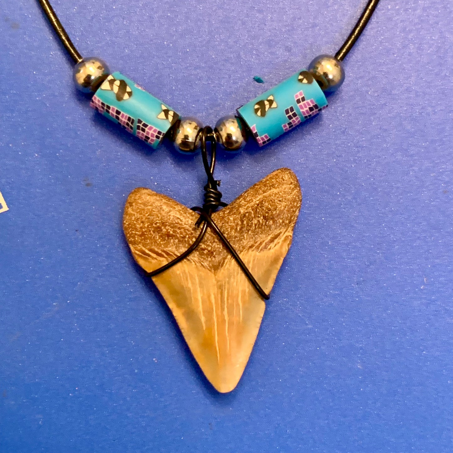 Real fossil megalodon shark tooth necklace on black cord, shark tooth pendant