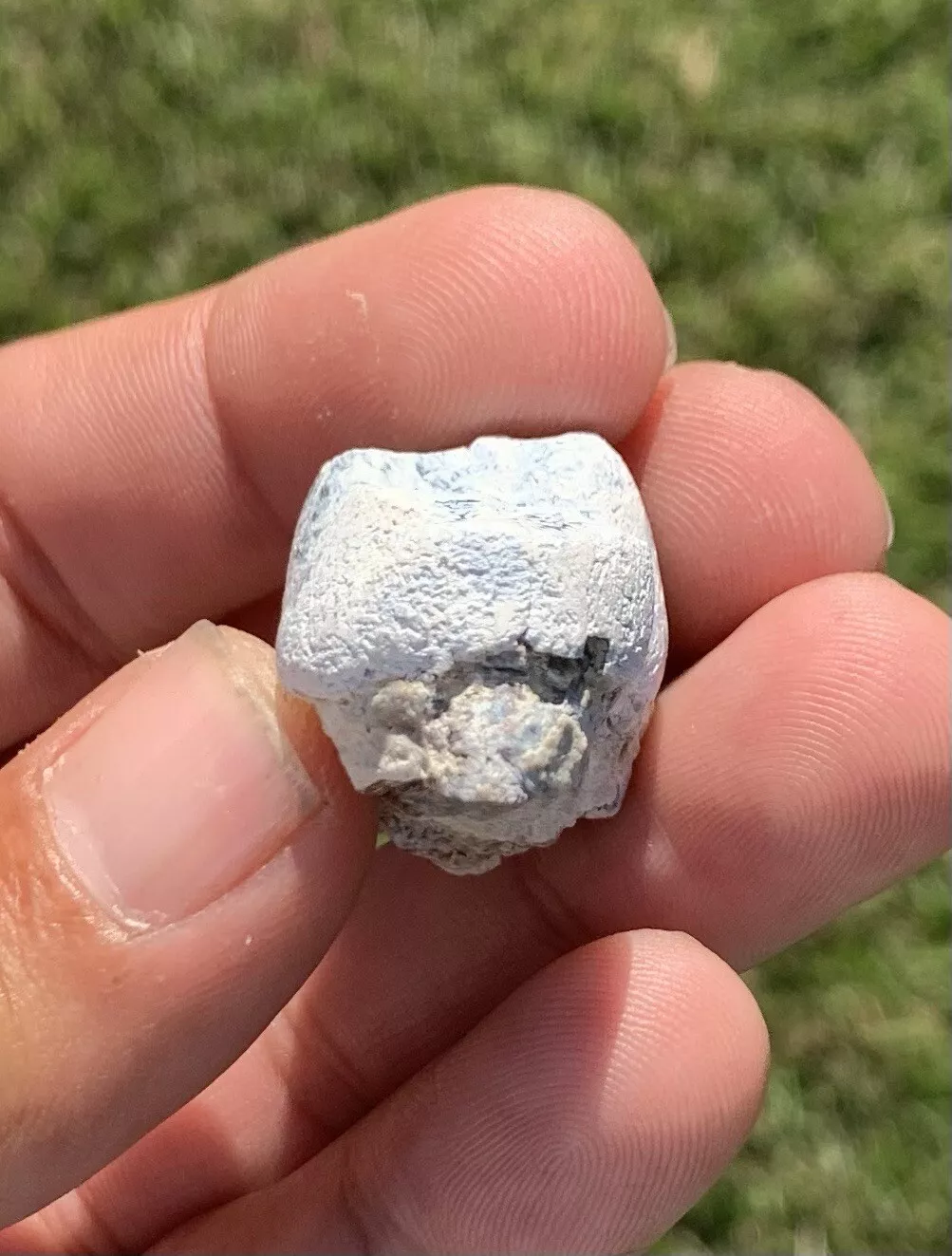 Archaeotheroum Molar, Hell Pig, White River Badlands