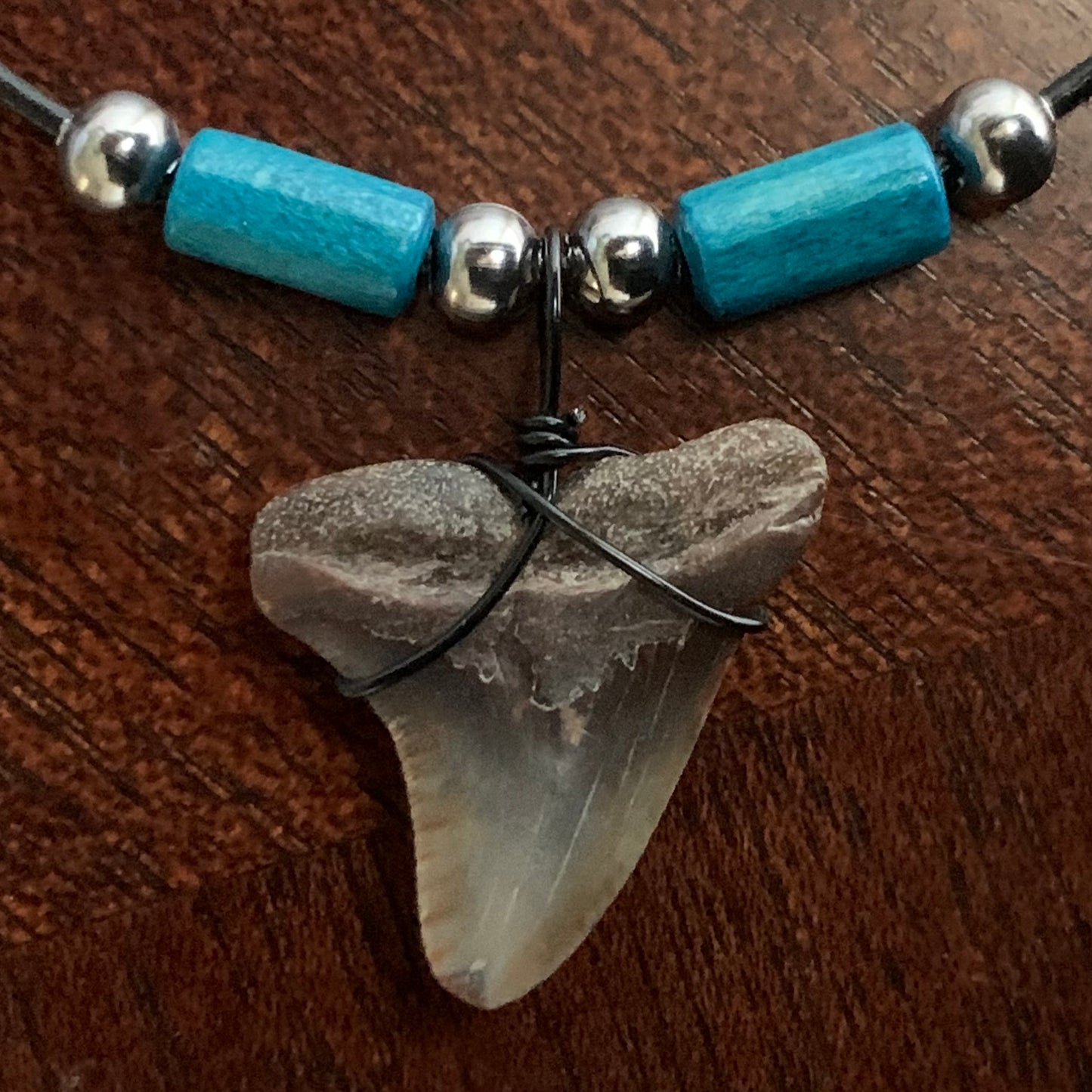 Real fossil Hemipristis serra, snaggle shark tooth necklace on black cord, shark tooth pendant