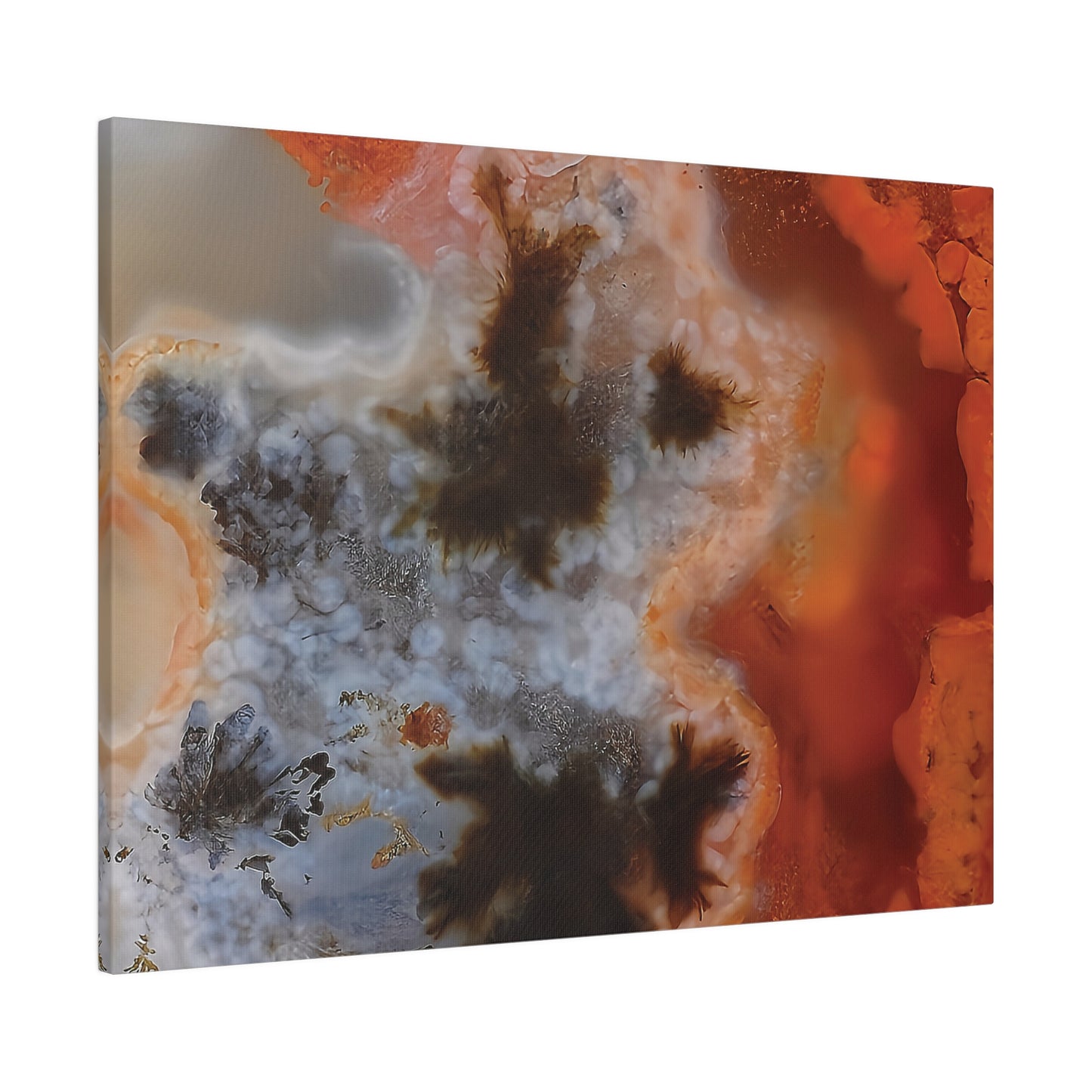 Texas Plume Agate  Canvas Print Wall Art Décor