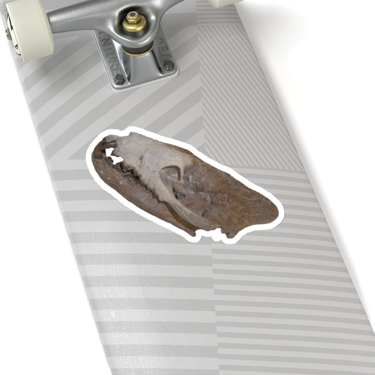 Hyaenodon - Fossil Hyaenodon Skull Sticker