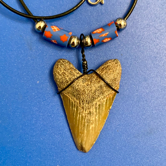 Real shark tooth necklace made from a fossil megalodon shark tooth pendant wrapped with black wire, hung on a black cotton cord with colorful beads