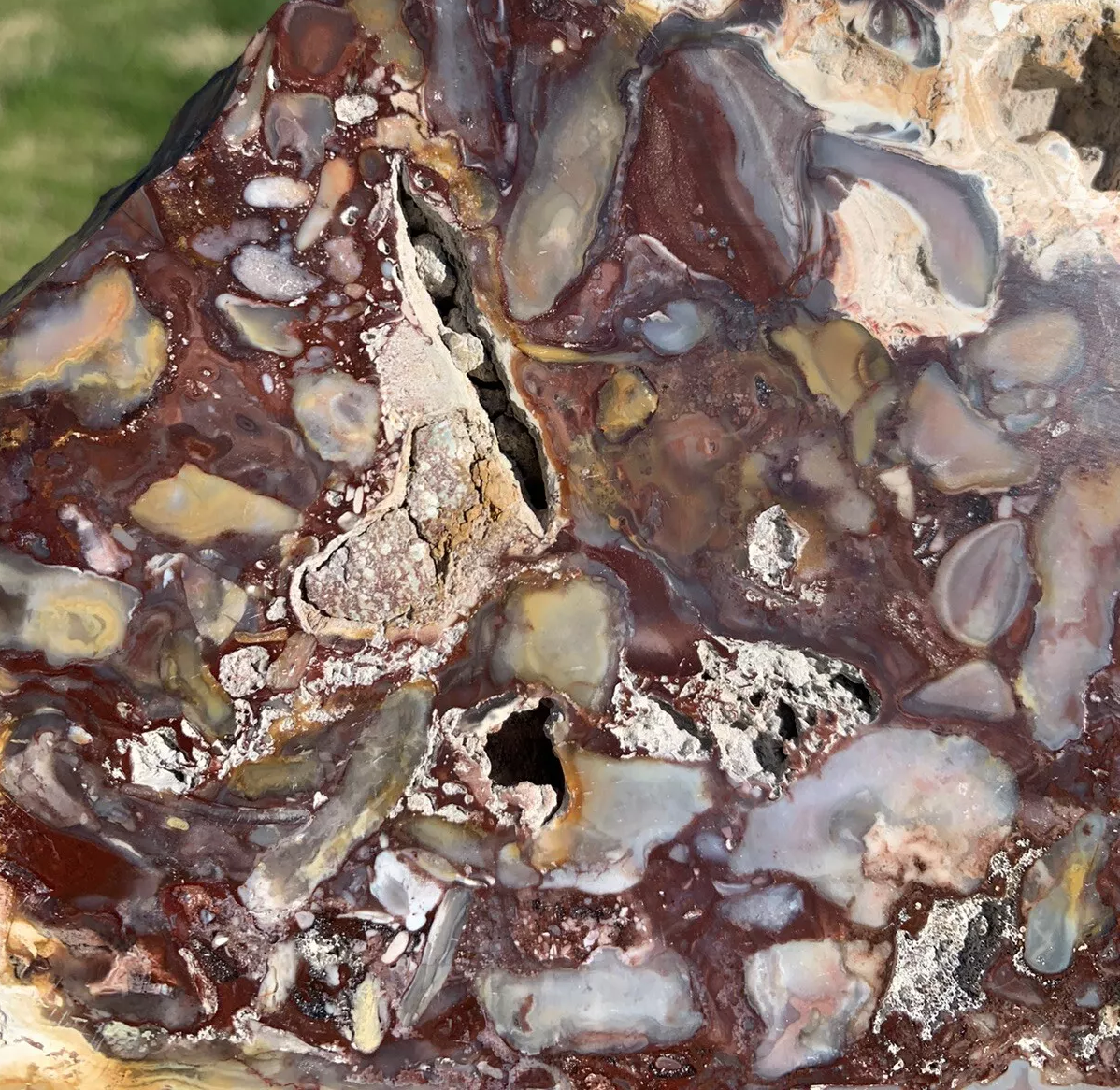 Extremely Colorful Polished Petrified Wood From Indonesia