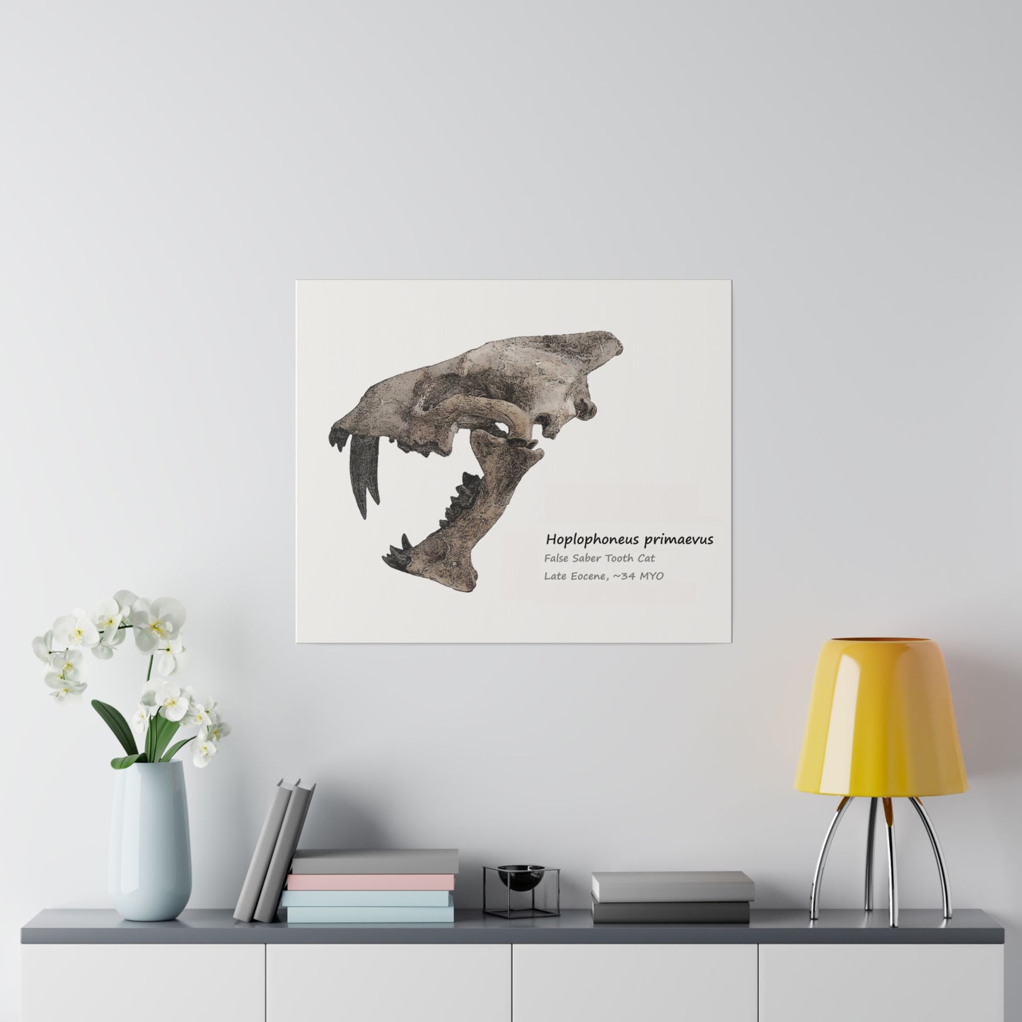 Hoplophoneus Primaevus Saber Cat  Canvas Print Wall Art Décor