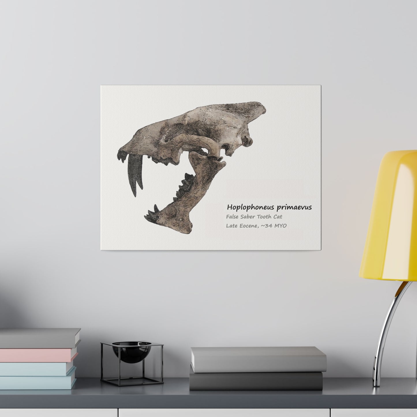 Hoplophoneus Primaevus Saber Cat  Canvas Print Wall Art Décor