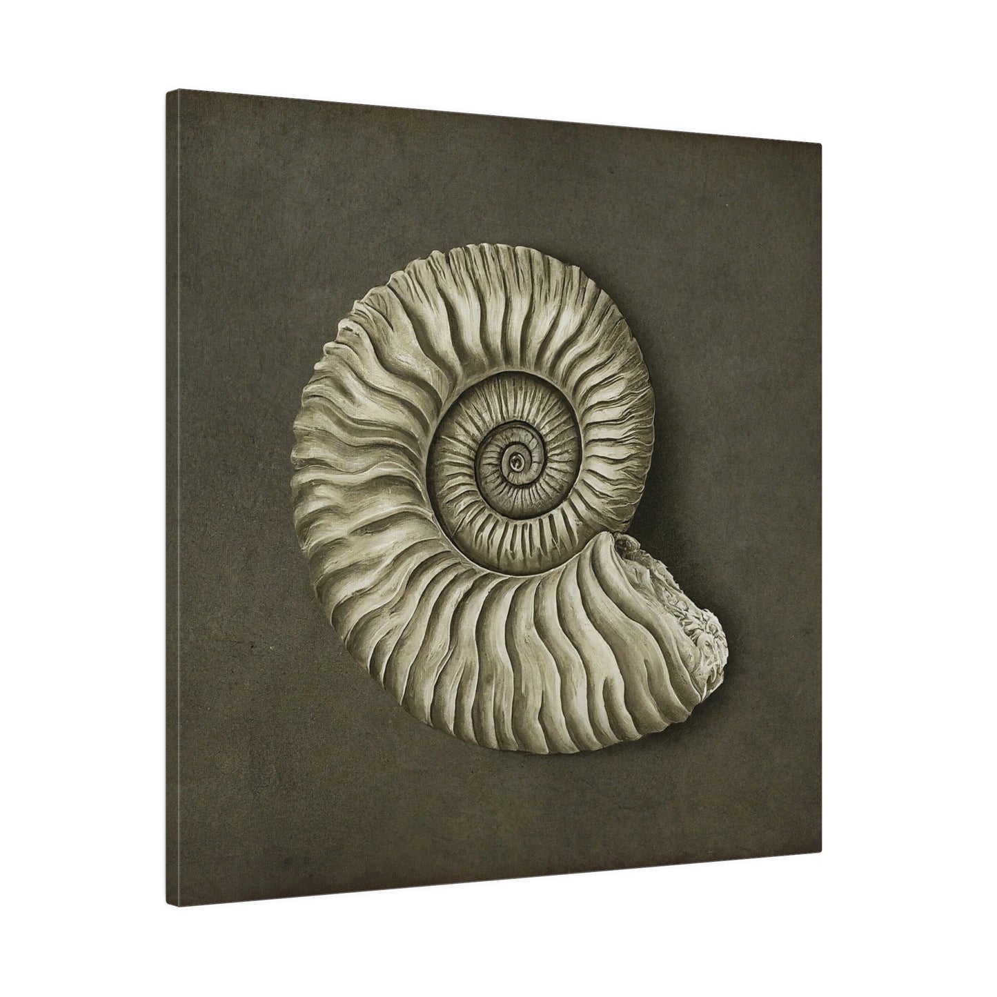 Ammonite Seashell Canvas Print Wall Art Décor, Beach Décor