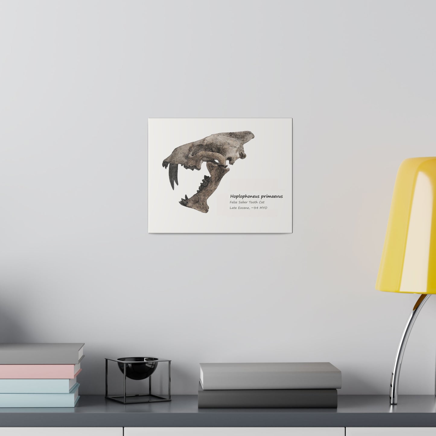 Hoplophoneus Primaevus Saber Cat  Canvas Print Wall Art Décor