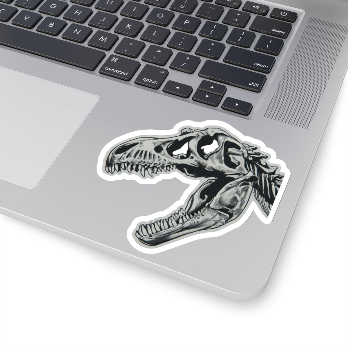 Tyrannosaurus rex Skull - Dinosaur Sticker