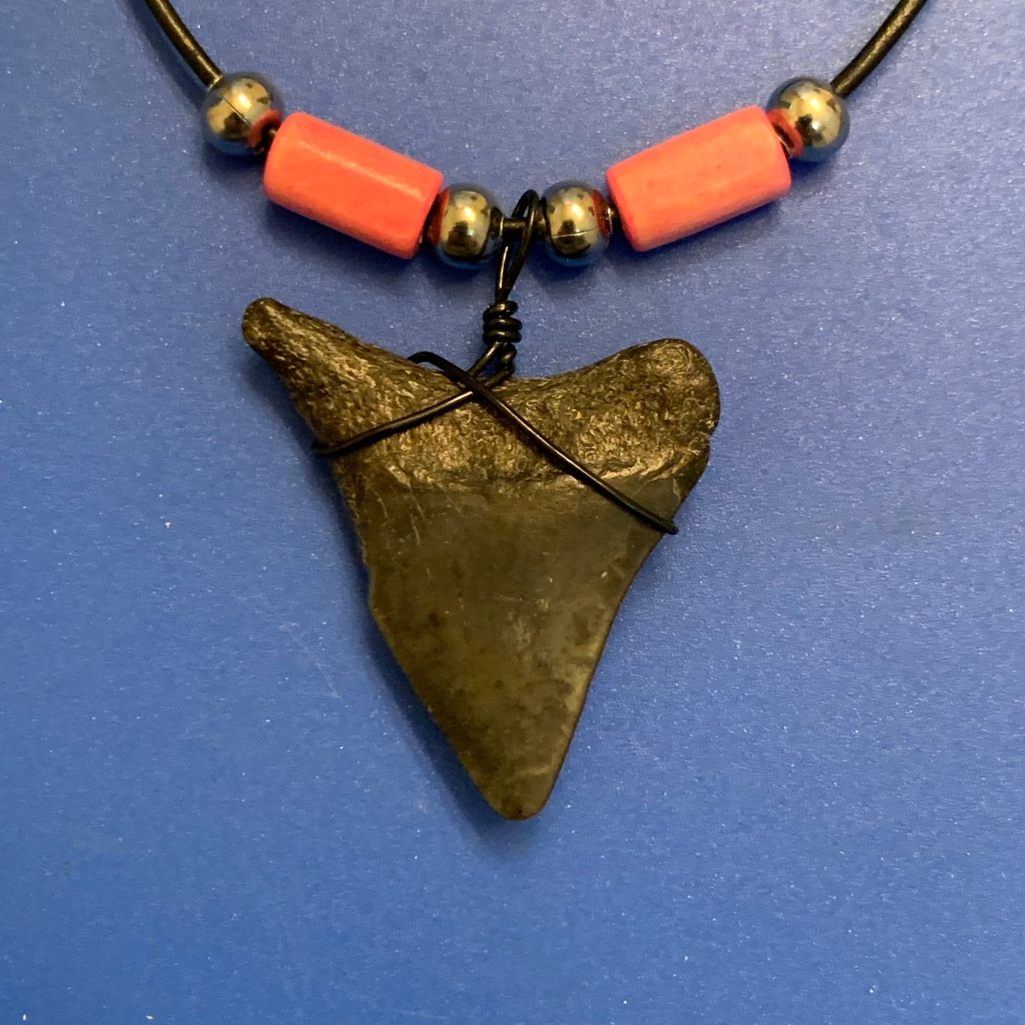 Real fossil megalodon shark tooth necklace on black cord, shark tooth pendant