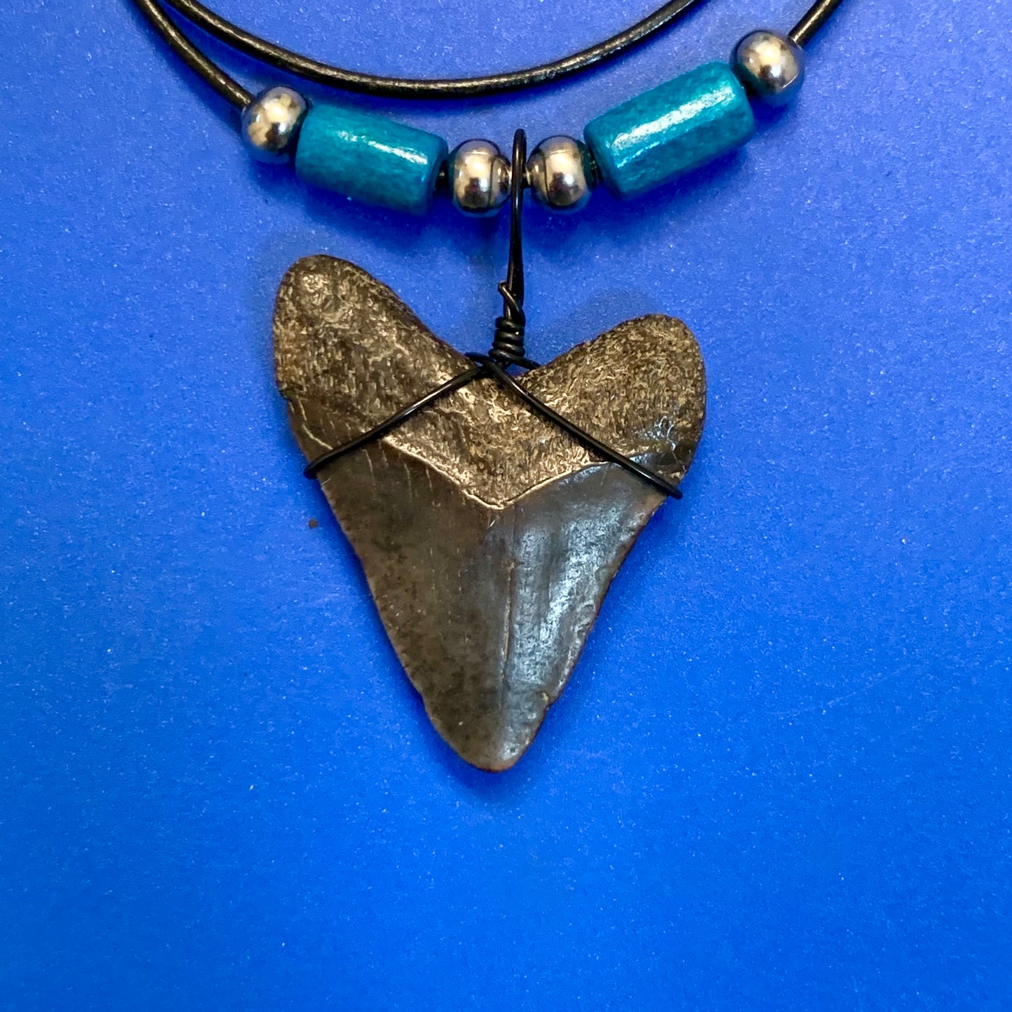 Real fossil megalodon shark tooth necklace on black cord, shark tooth pendant