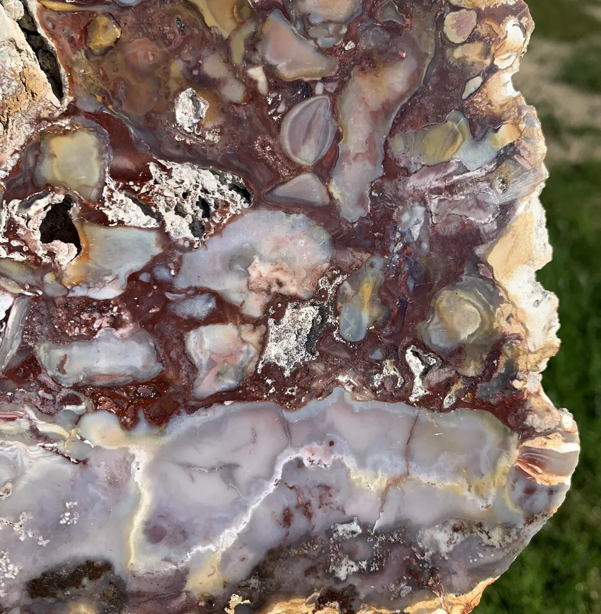 Extremely Colorful Polished Petrified Wood From Indonesia