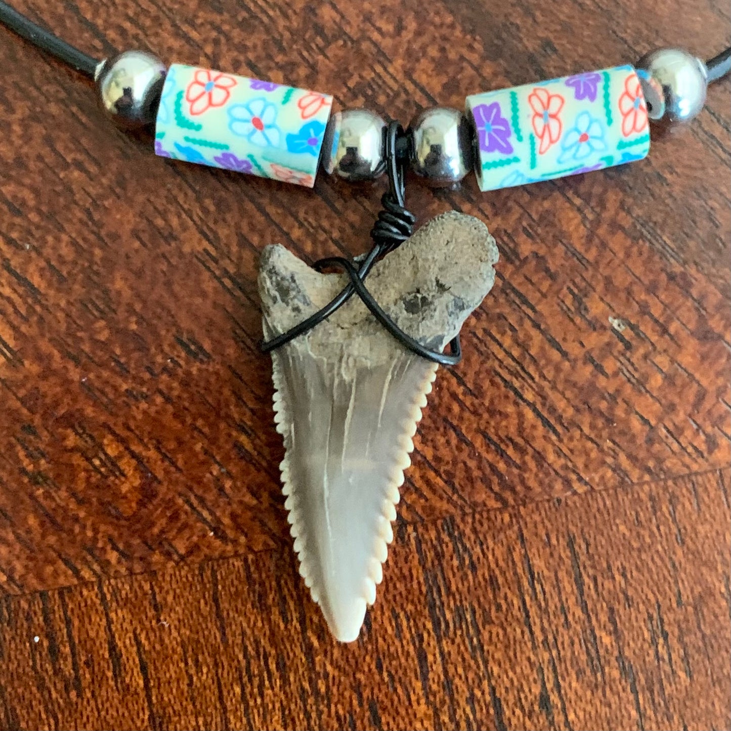 Real fossil Hemipristis serra, snaggle shark tooth necklace on black cord, shark tooth pendant