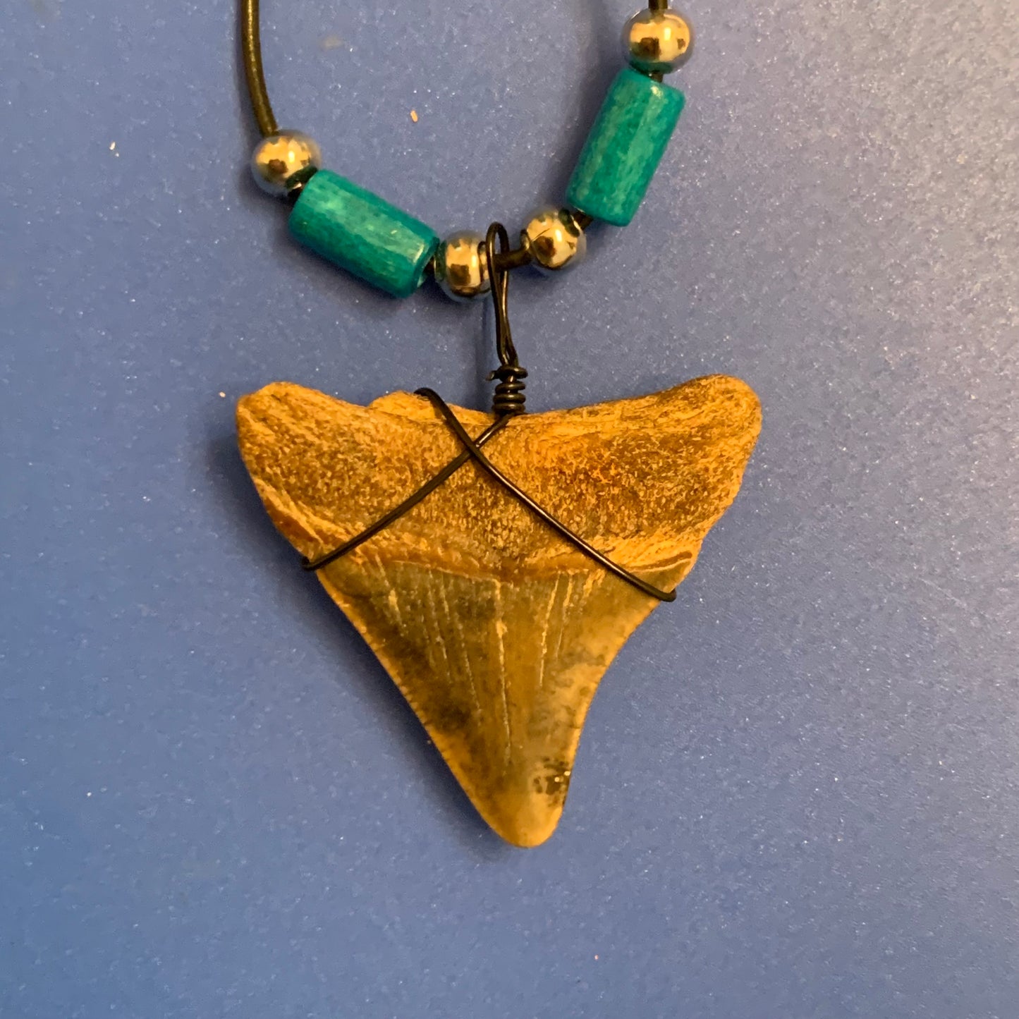 Real fossil megalodon shark tooth necklace on black cord, shark tooth pendant