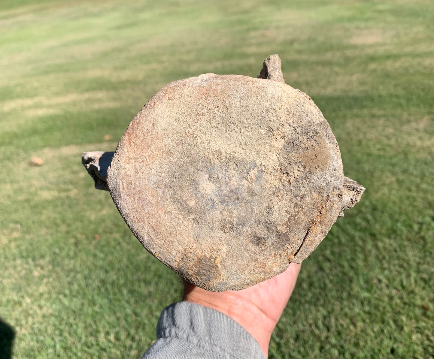Fossil Whale Vertebra From the Miocene of Virginia