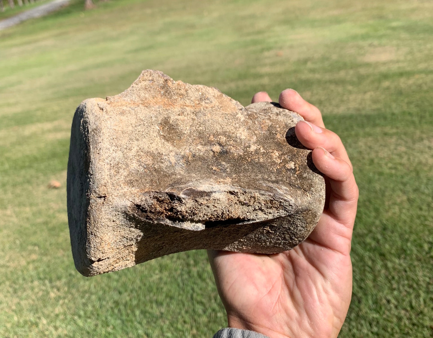 Fossil Whale Vertebra From the Miocene of Virginia