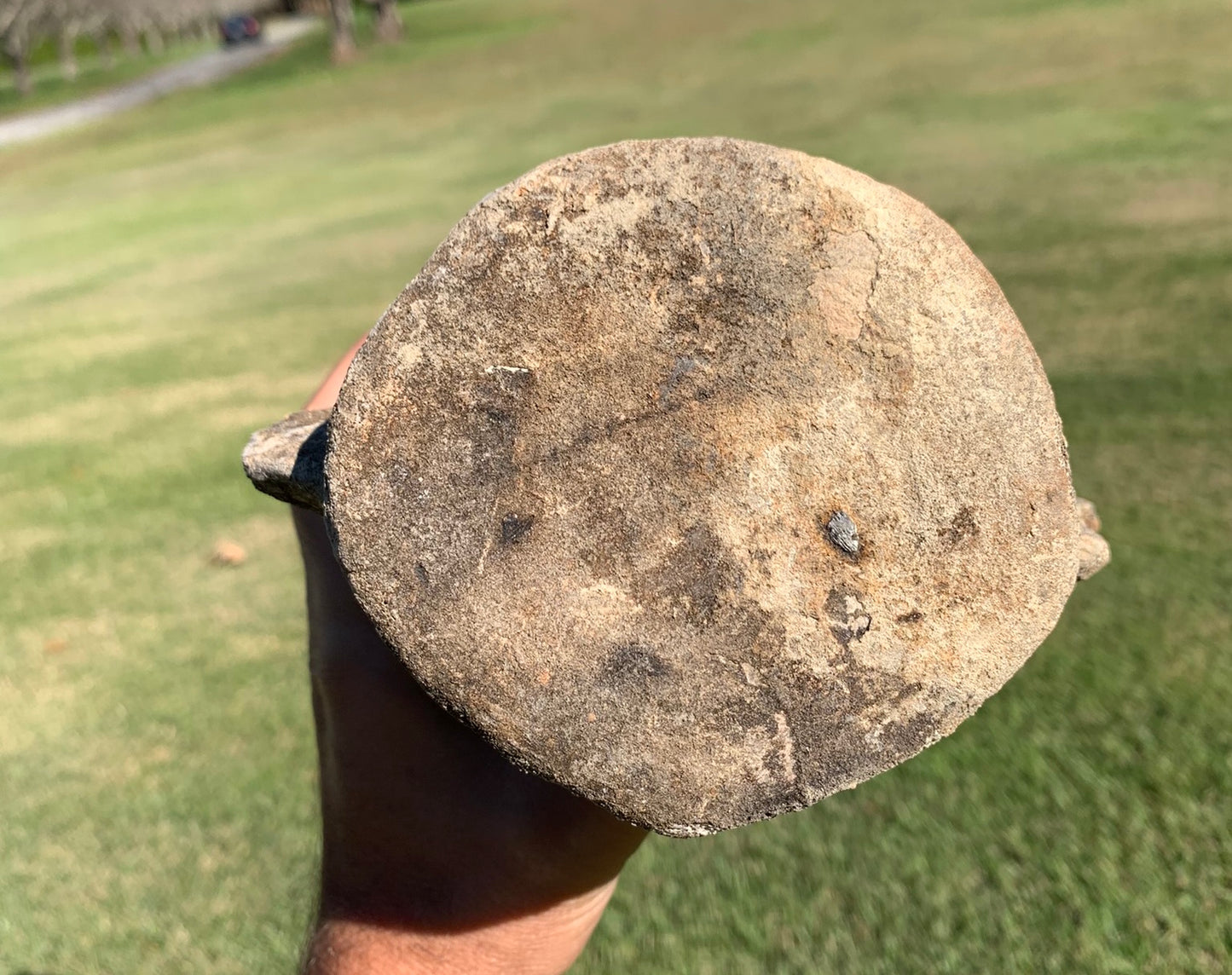 Fossil Whale Vertebra From the Miocene of Virginia