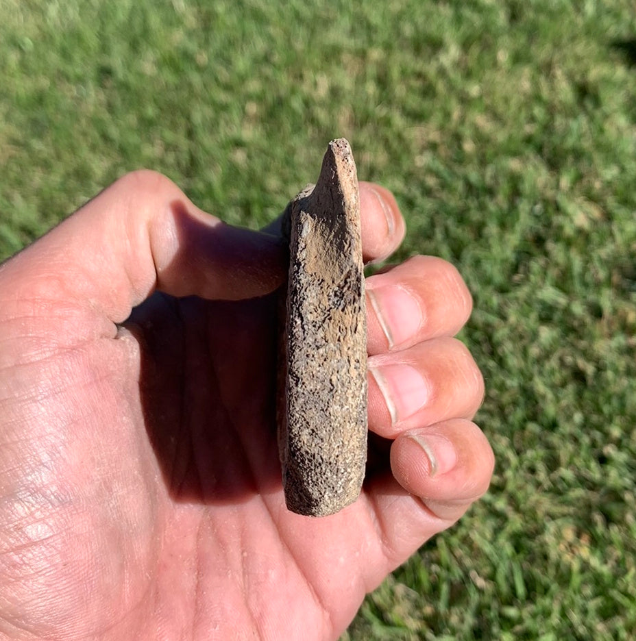 Fossil Whale Vertebra From the Miocene of Virginia
