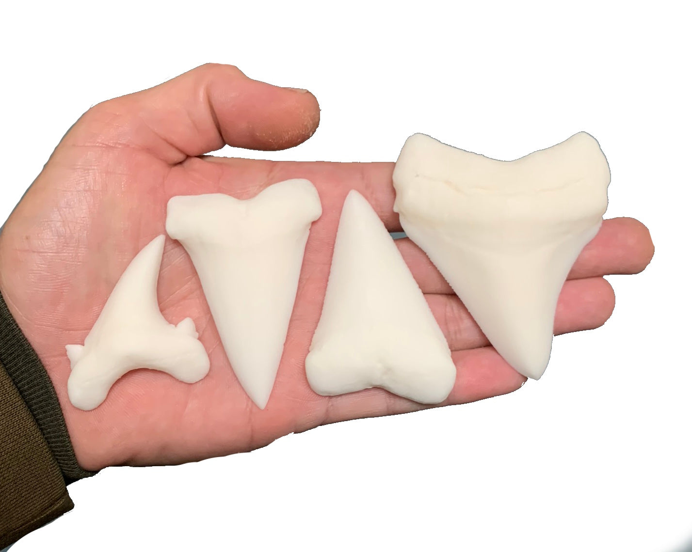 Paint Your Own Multi Species Shark Teeth Replicas - DIY Painting Kit for Kids STEM Homeschool Craft Activity