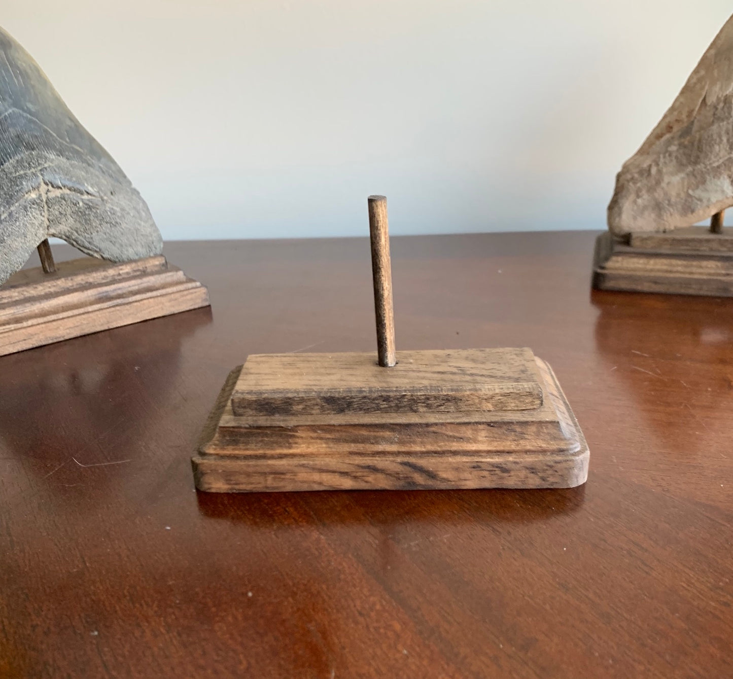 Megalodon Shark Tooth Stand Rectangular -Stained Dark Walnut