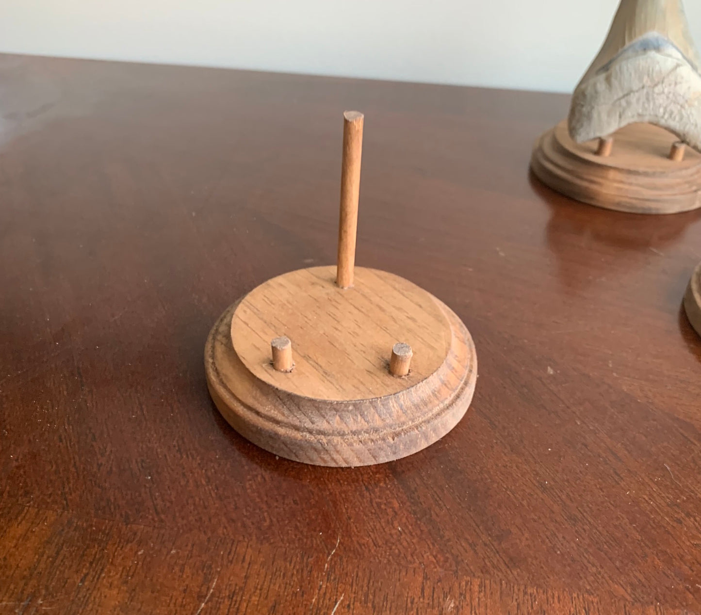 Megalodon Fossil Shark Tooth Stand. Round base -Stained Early American