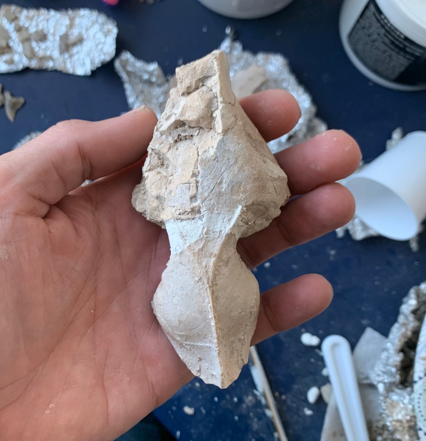 Tiny Fossil Oreodont Skull Brule Formation