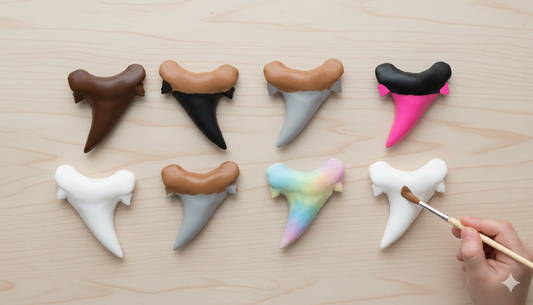 Paint Your Own Megalodon Ancestor (Otodus obliquus) Shark Tooth Replica - DIY Painting Kit for Kids STEM Homeschool Craft Activity