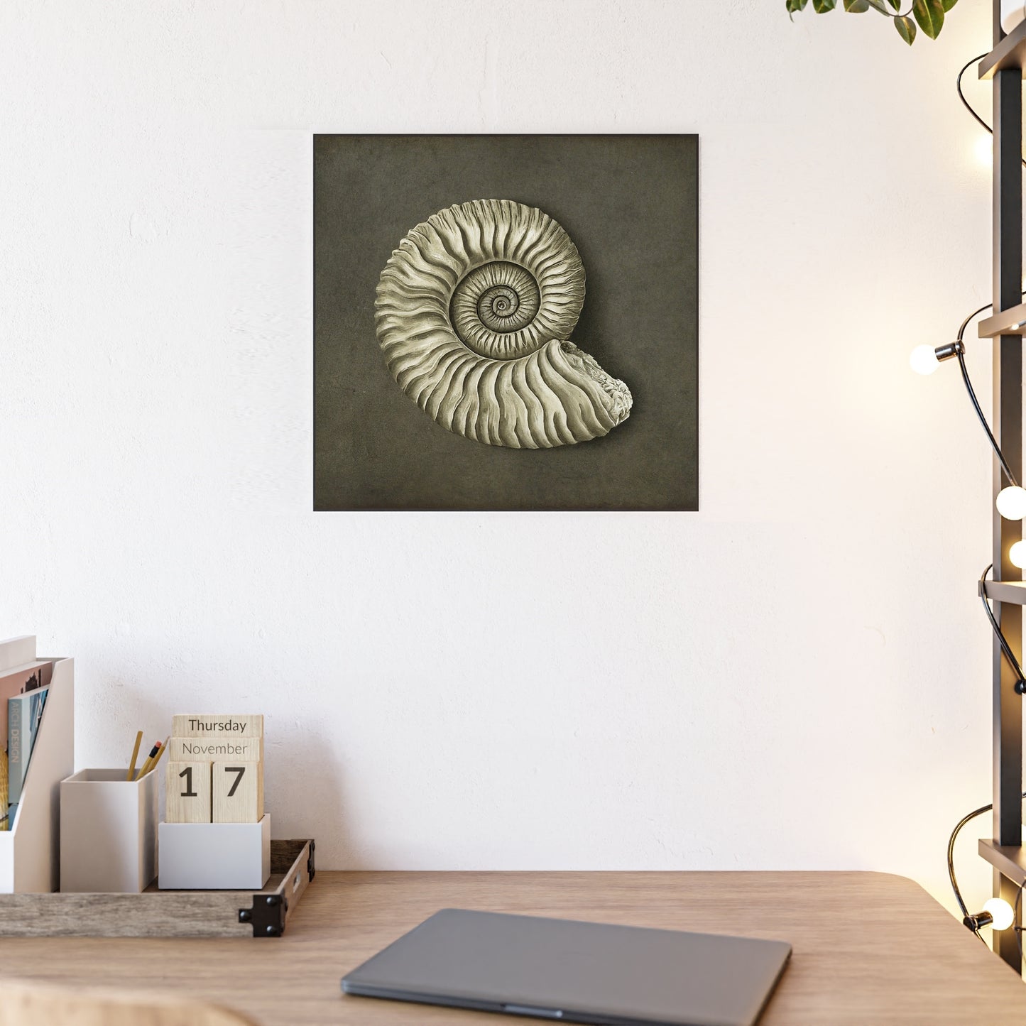 Ammonite Shell Fine Art Print Wall Décor, Beach Décor